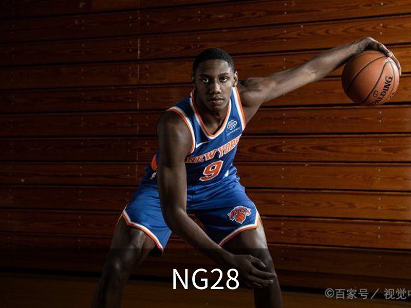 NG28概况